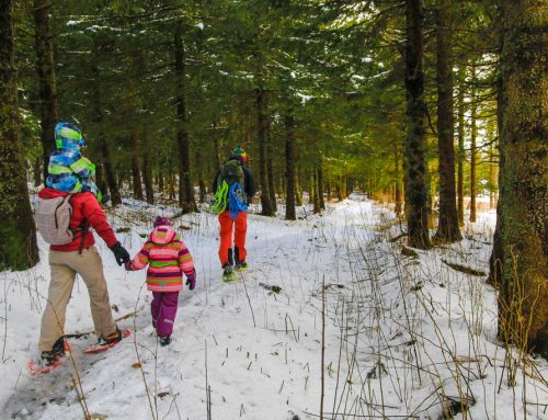 Semaine de relâche 2025 : Découvrez les trésors cachés dans les régions du Québec